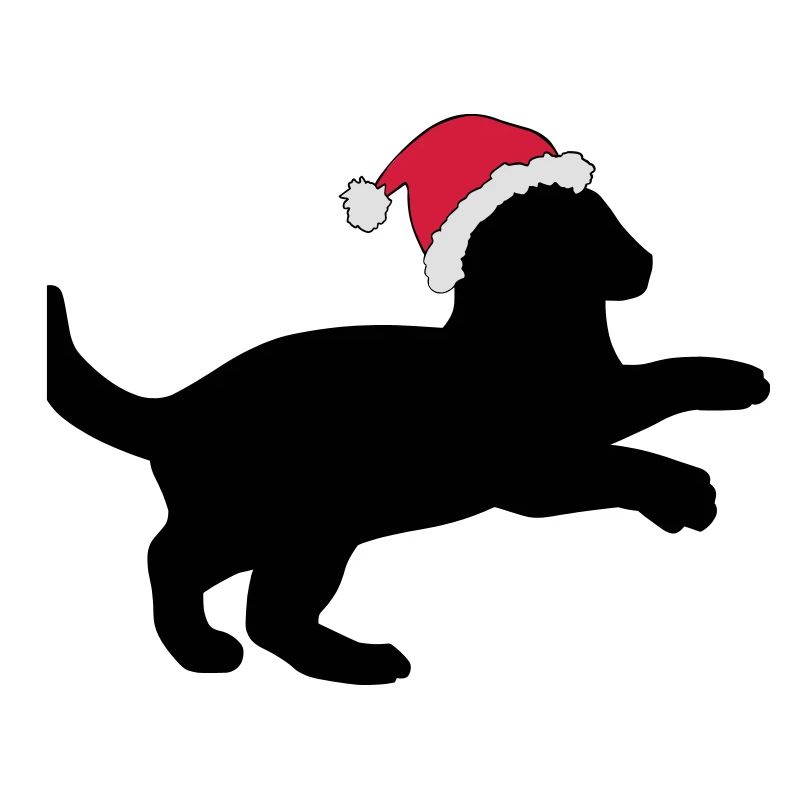 Chaton dans un chapeau de Noël.