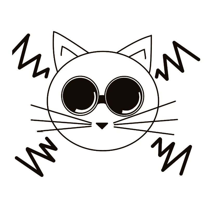 Chat de l’espace