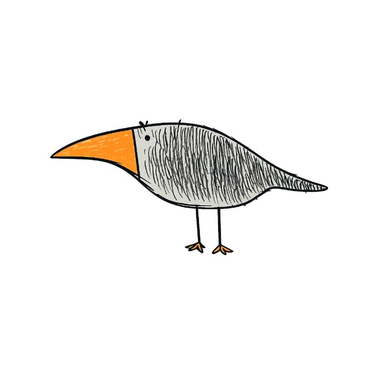 Bird with orange beak