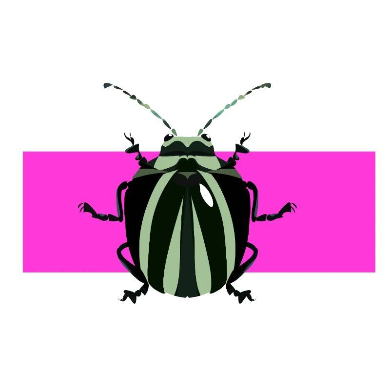 Abstract bug desgin