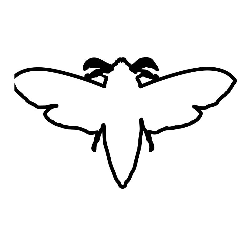 Moth 2