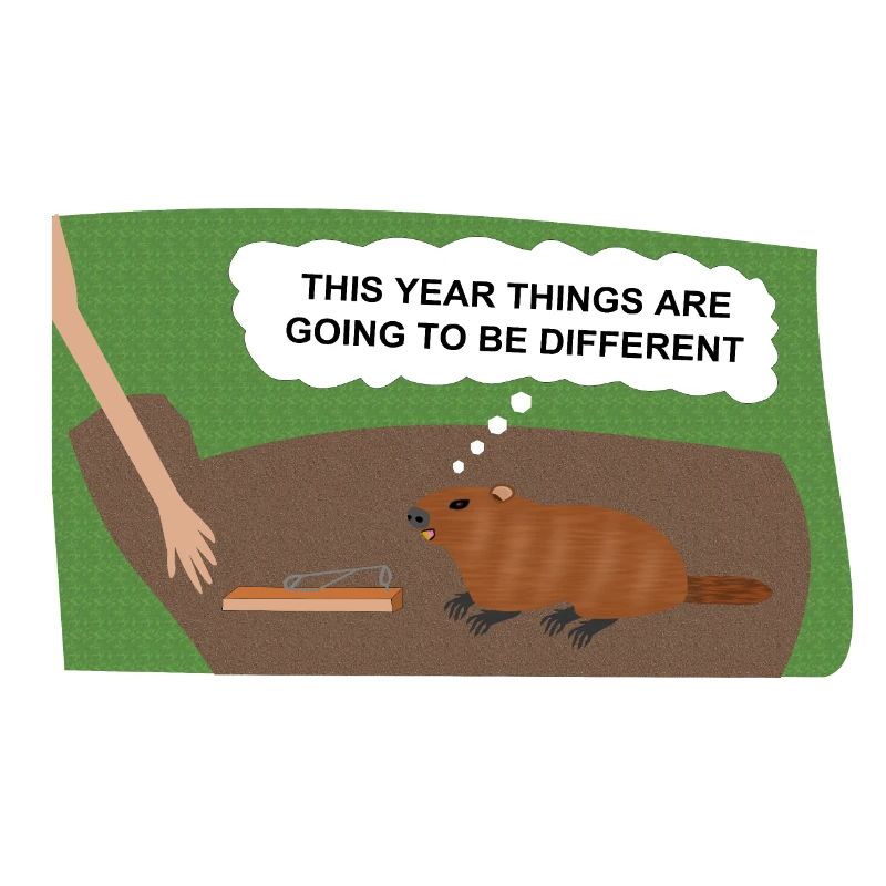 Evil Groundhog Gets Revenge