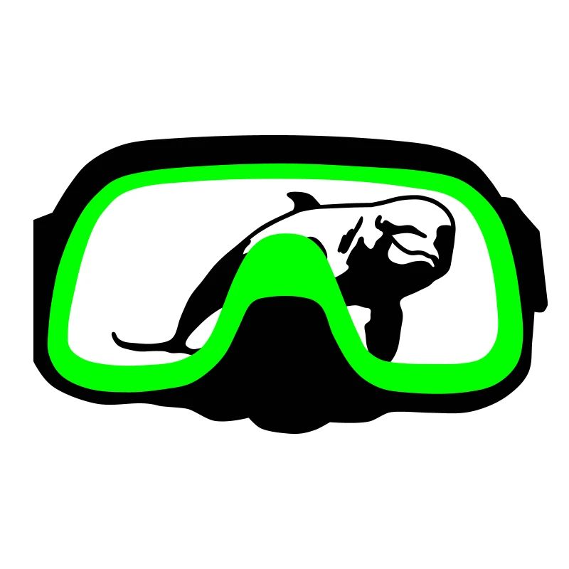 Lunettes de plongée