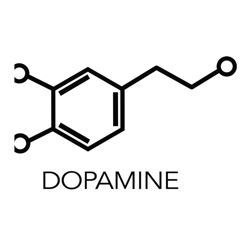 Conception scientifique minimaliste de la molécule de dopamine