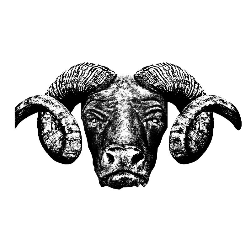 Minotaur / Head