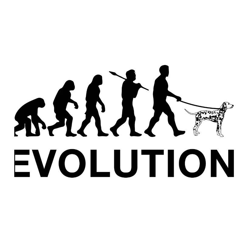 évolution