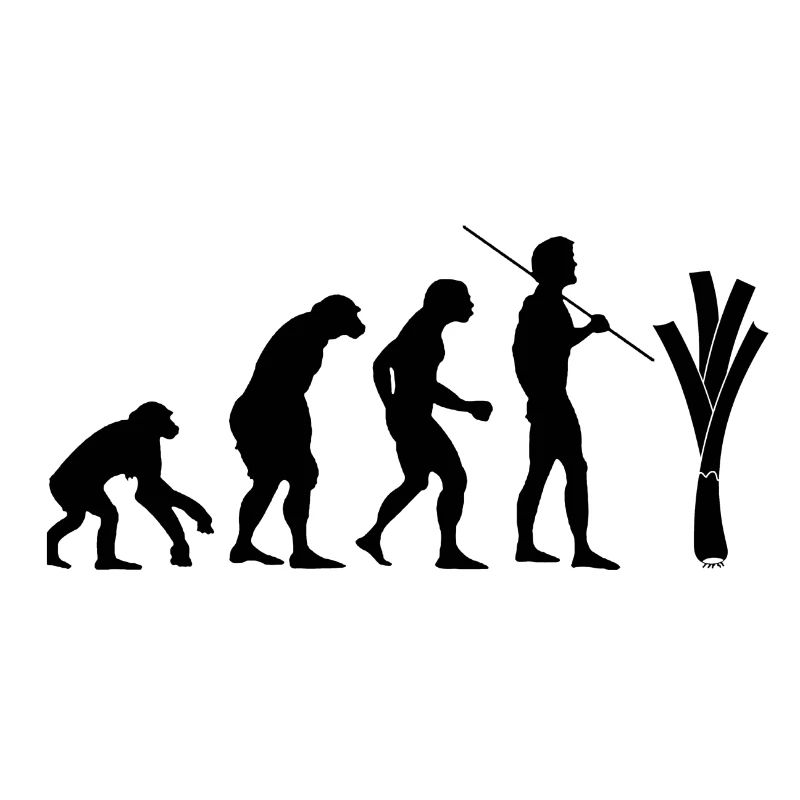Evolution des Lauchs