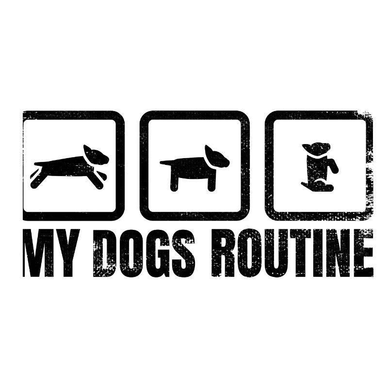 Hunde Routine