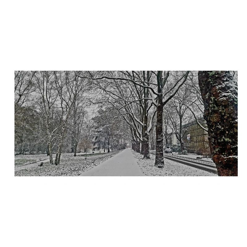 Winterallee im Schneefall