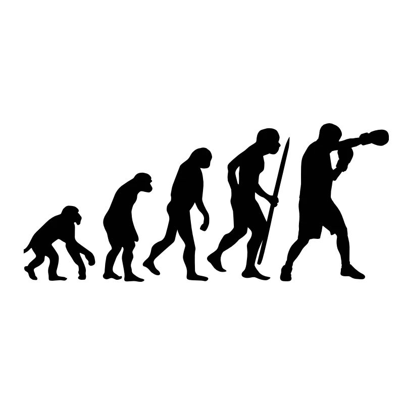 Evolution de la boxe