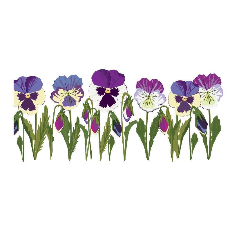 Rangée de fleurs de pensée en violet