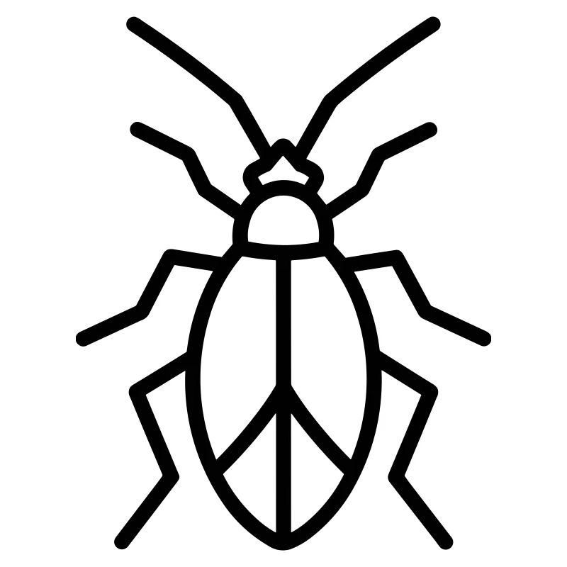 Aphid