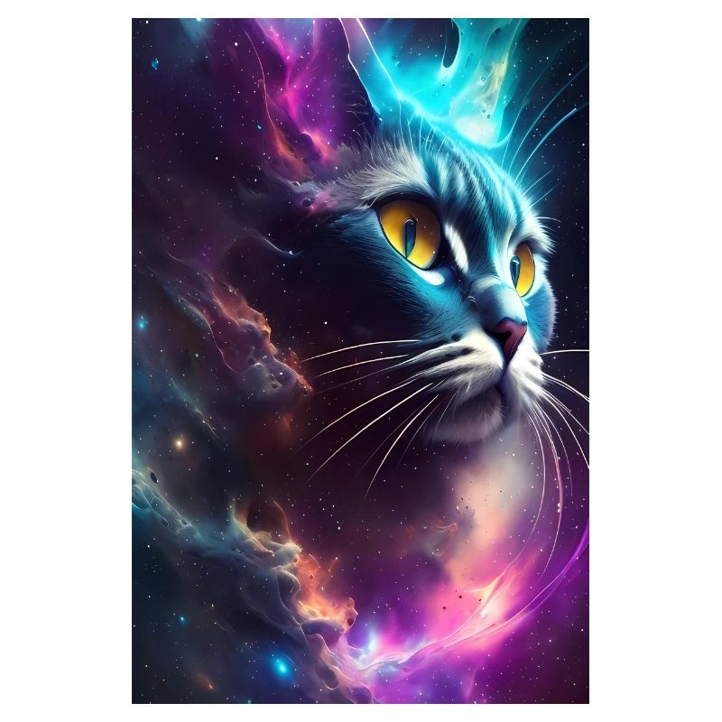 Chat dans l’espace