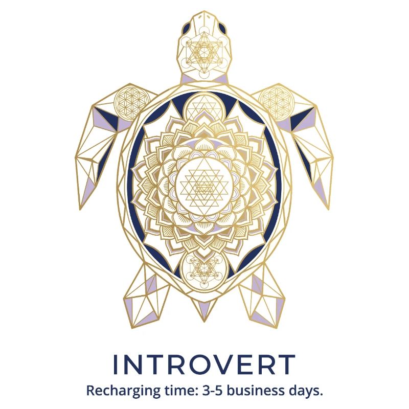 Geometric Turtle Mandala Introvert