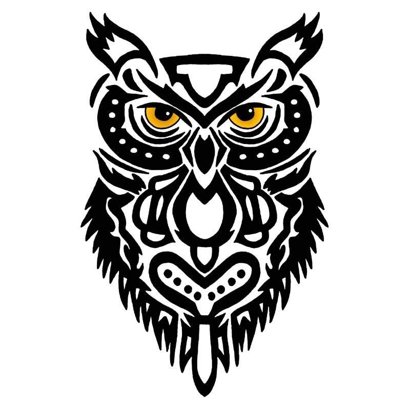 Der Blick der schwarzen Eule