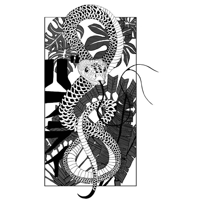 Snake 2