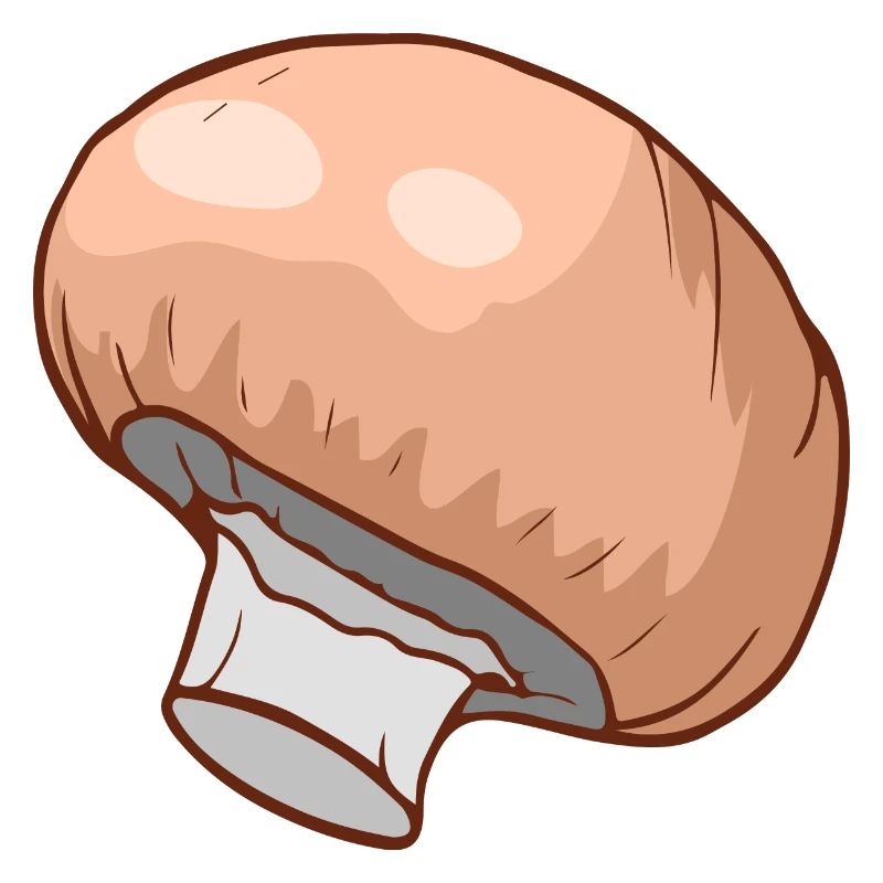 Champignons Egerlinge Angerlinge champignons