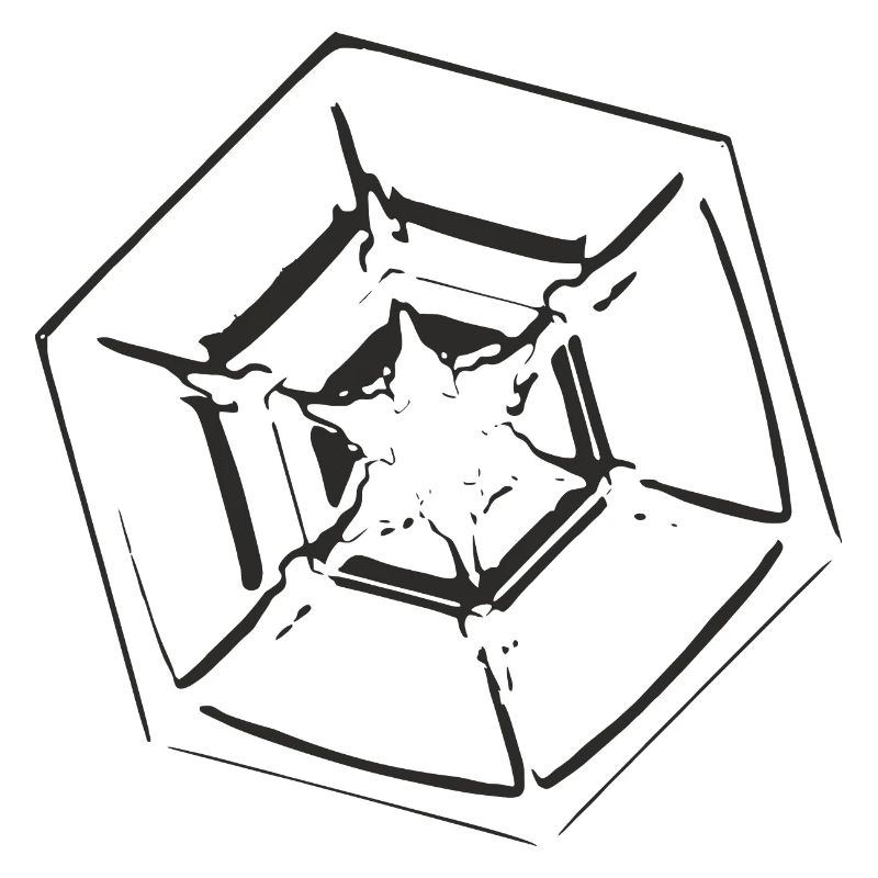 snowflake 4 black