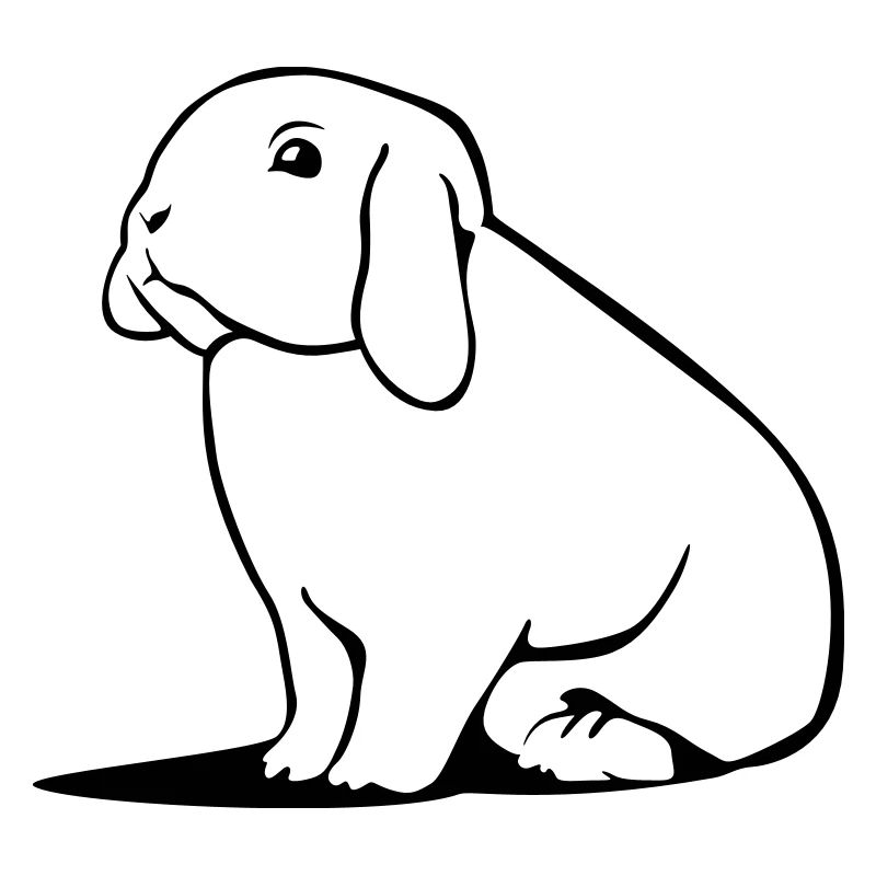 Dwarf Ram - Rabbit - Aries