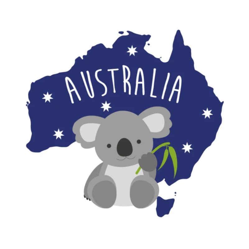 Bébé koala australien avec branche - idée cadeau