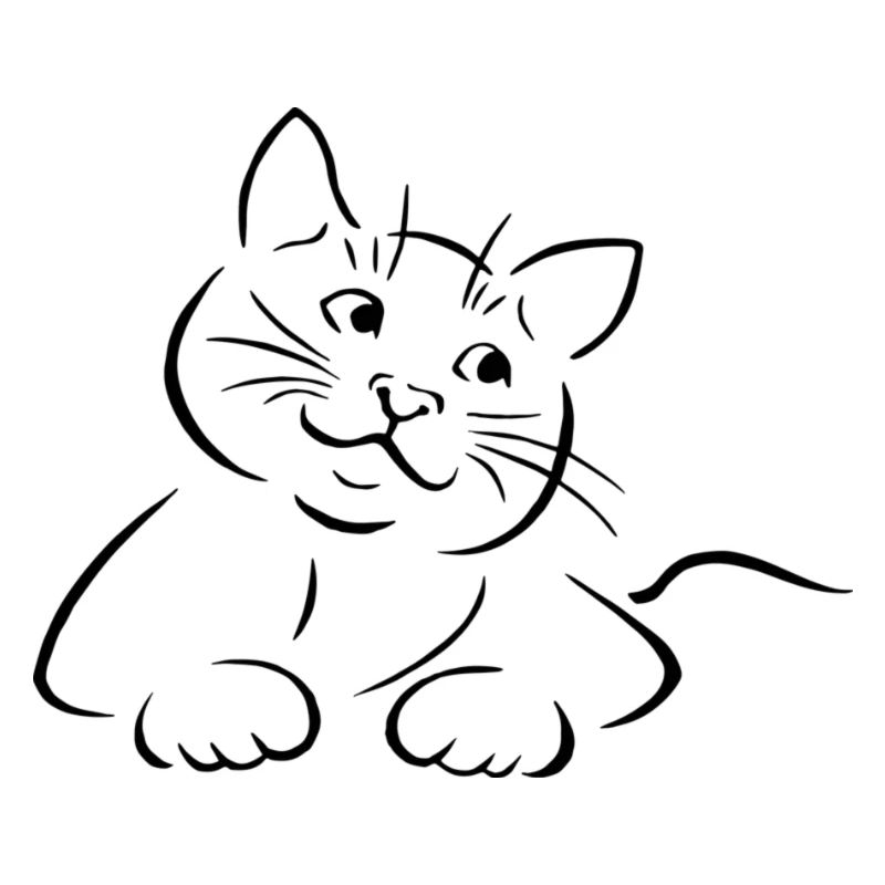 Katze