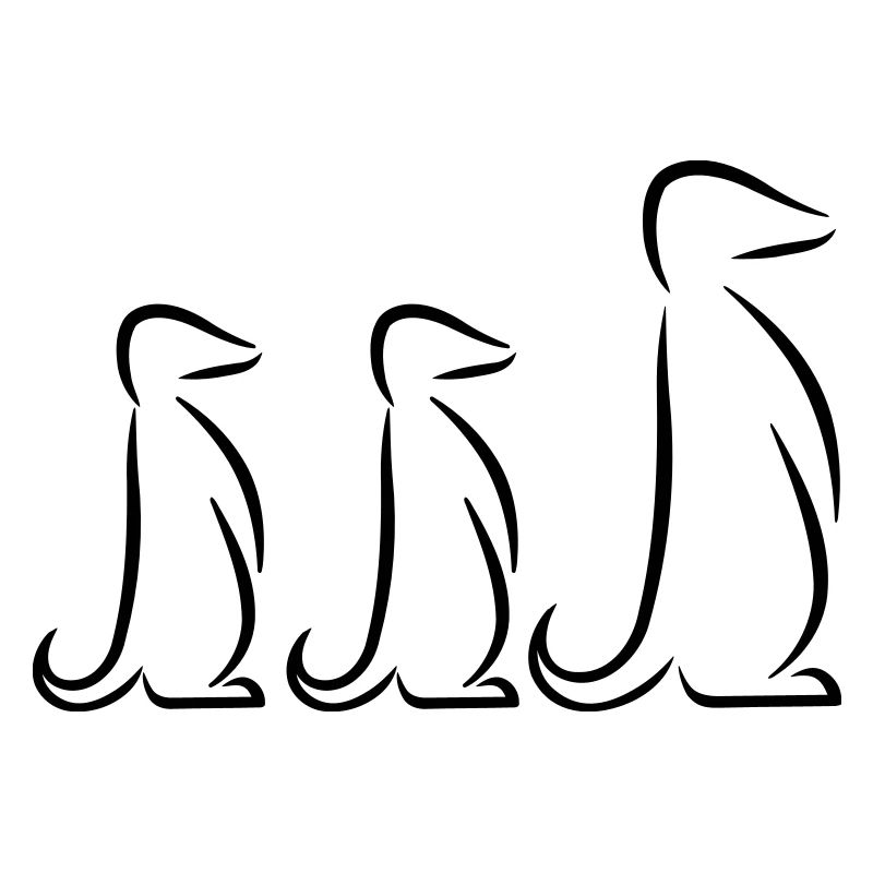 Suricate