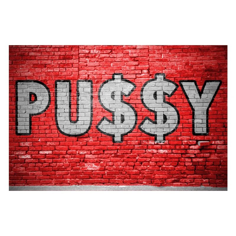 Pussy with Dollar Signs $ Brick Wall Graffit