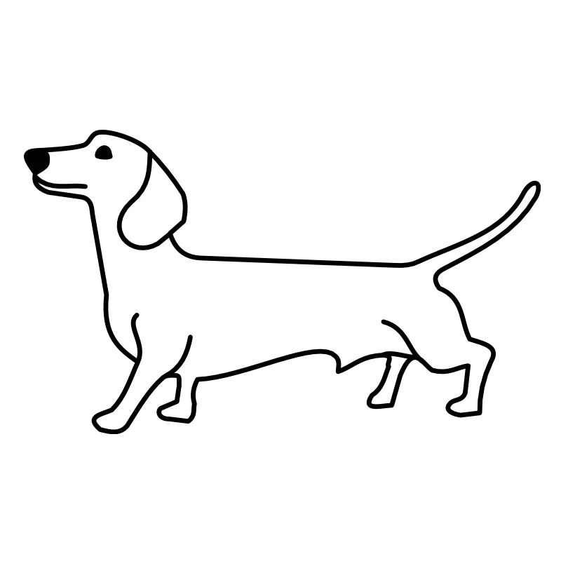 dackel