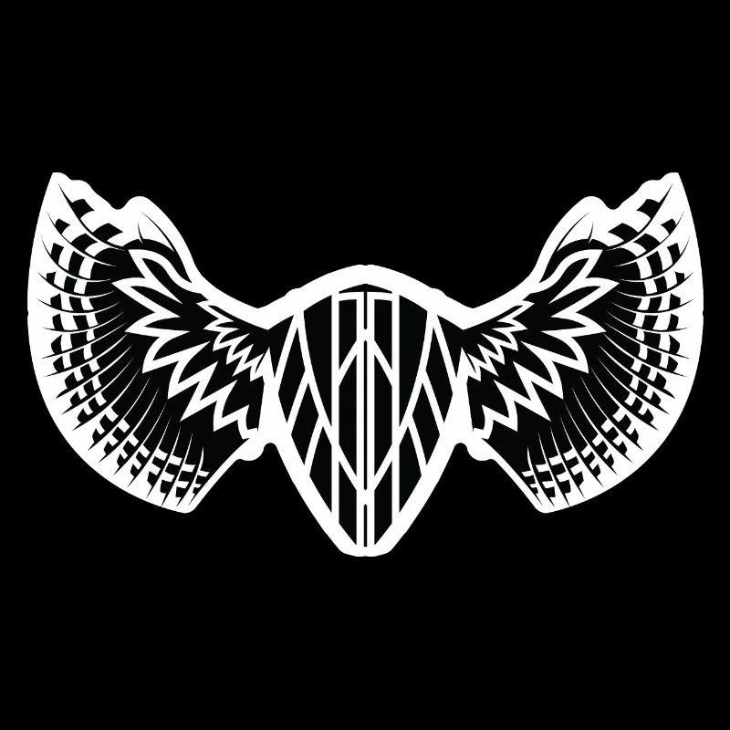 The Mystical Winged Ancient Shield