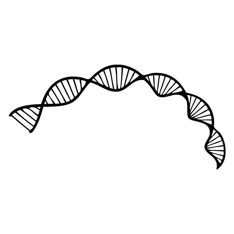 Zellsequenz der DNA-Doppelhelixstruktur