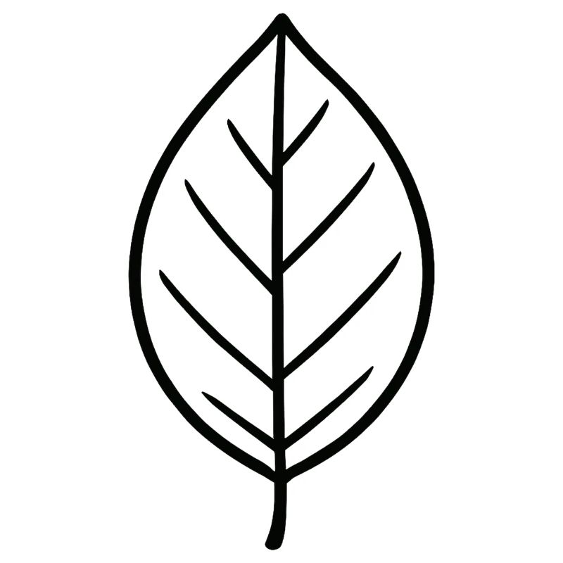 Conception à lignes de feuilles noires