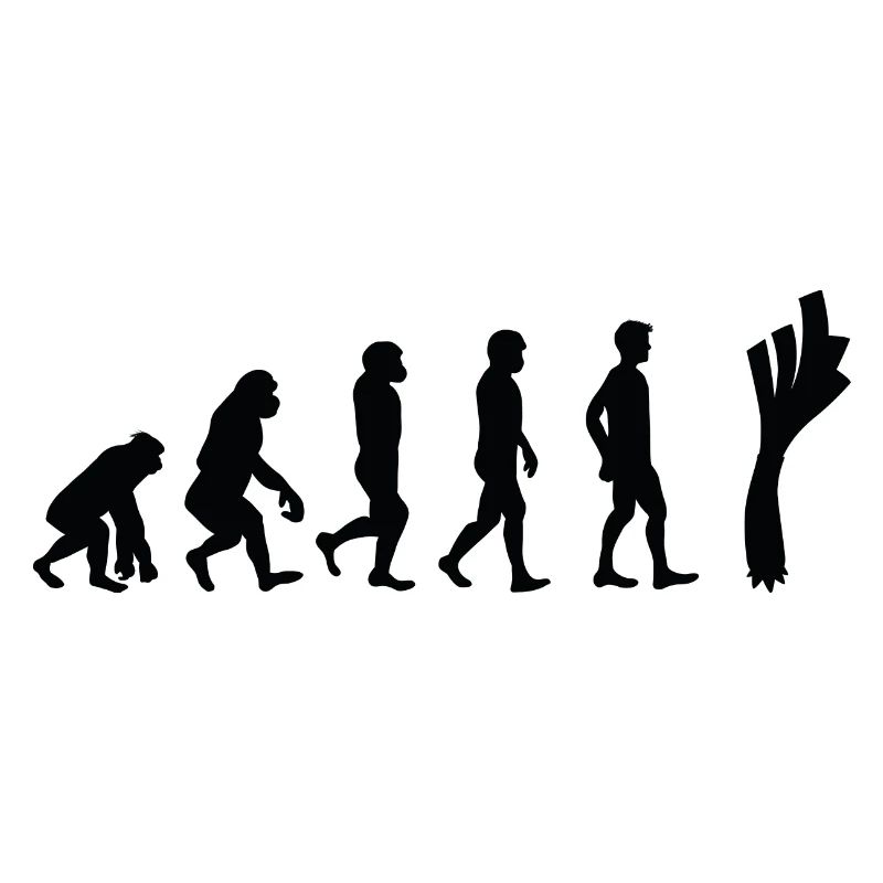 Leek evolution