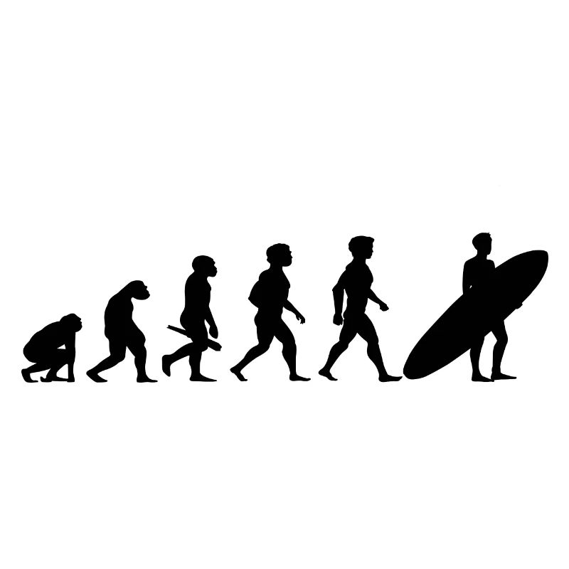 Evolution Surf Surfers surf surf