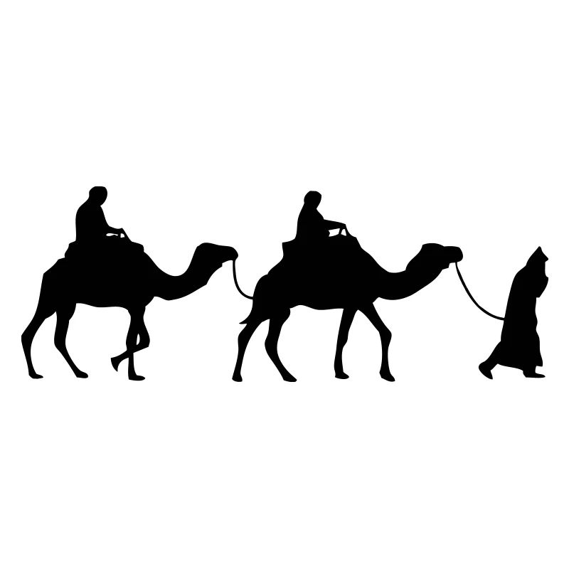 Camel - Dromedar - Kamel - Karawane