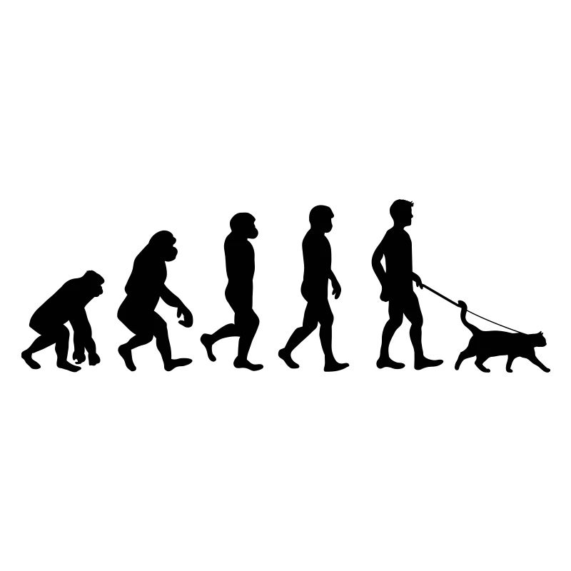 Katzen - Evolution