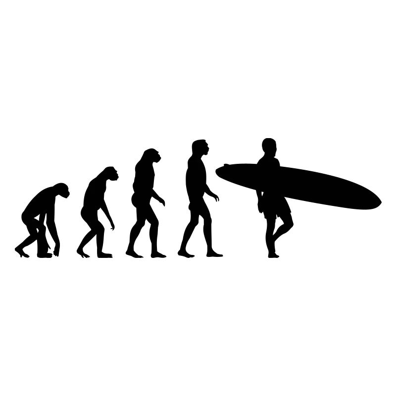 surfer evolution
