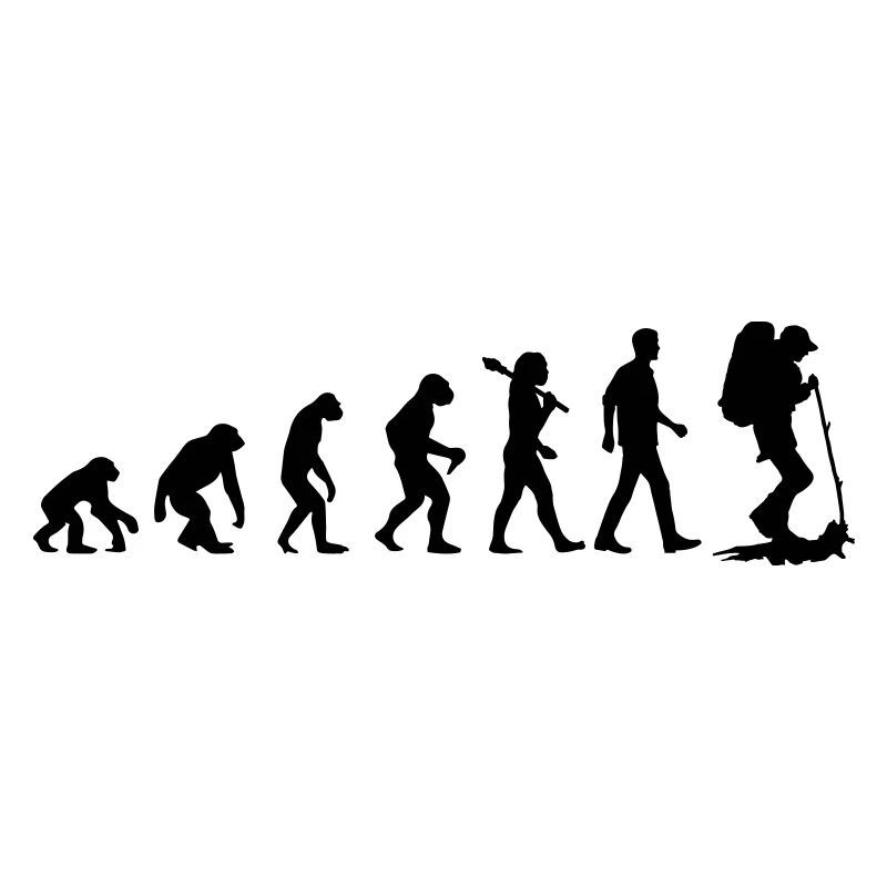 Evolution Of Travelling