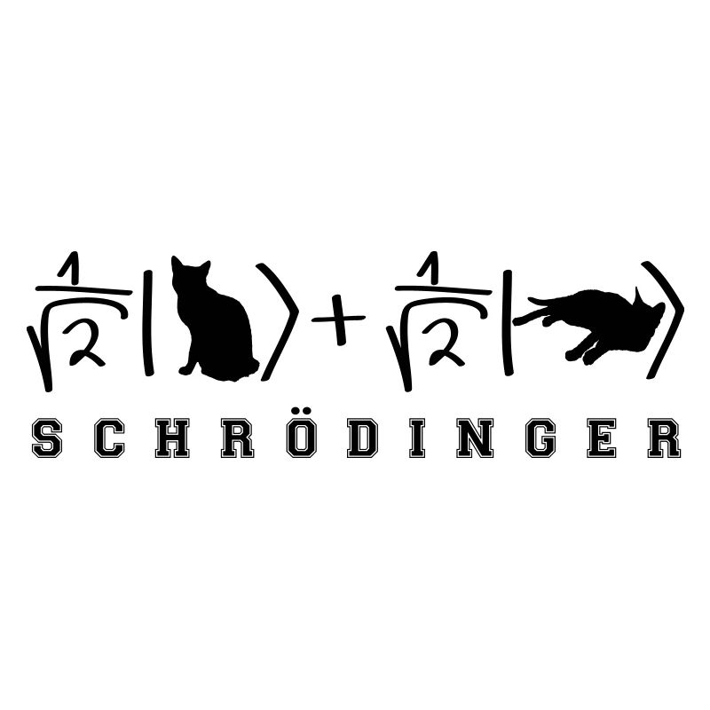 Quantenphysik Schrödinger Katze