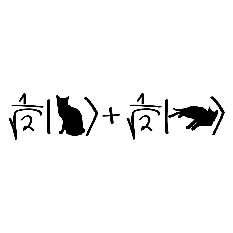 Chat de Schrödinger