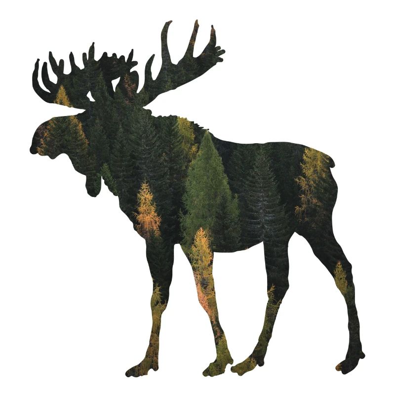 Moose