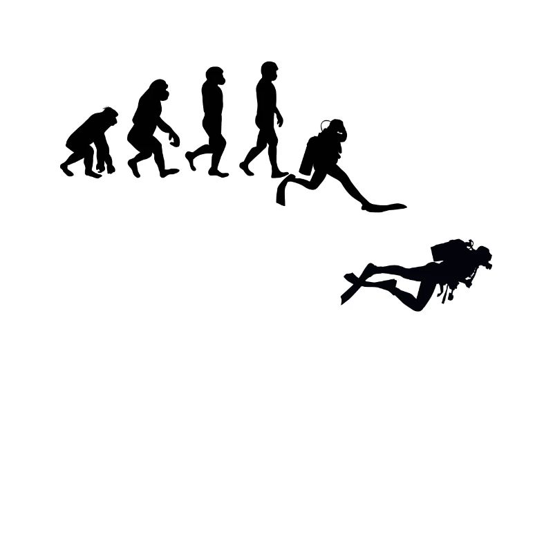 Evolution Tauchen