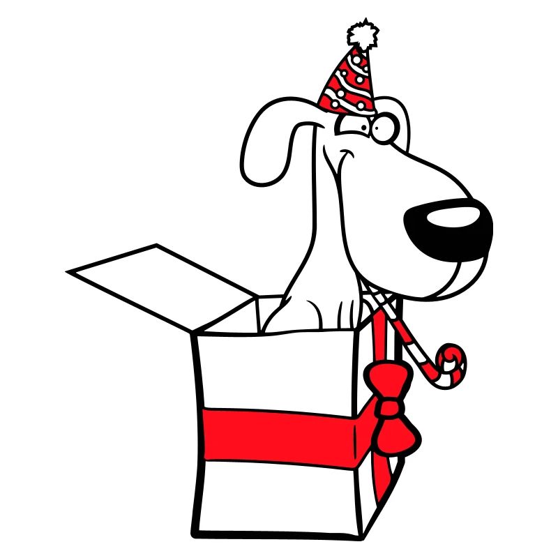 Dog Birthday Gift Party Hat Celebrate Toad