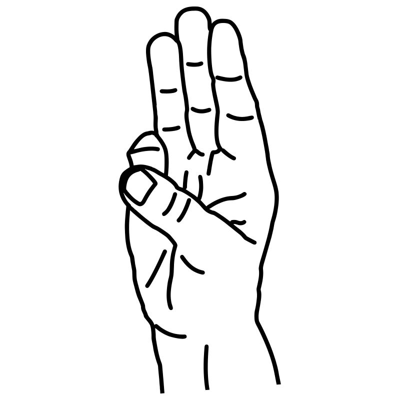 Hand gesture suppression Hunger games