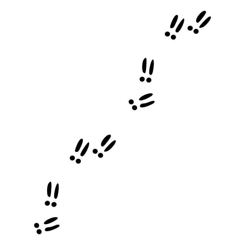 Empreintes - Traces