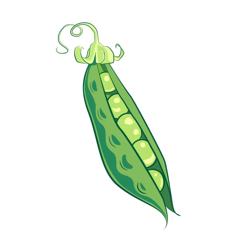 Pea peas pea pod vegetable gift