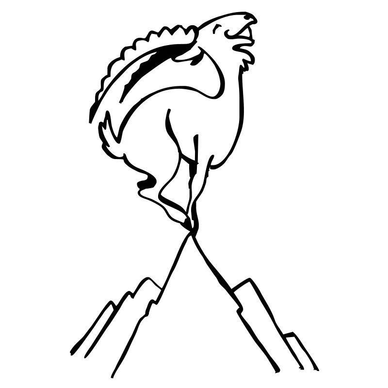 Capricorne