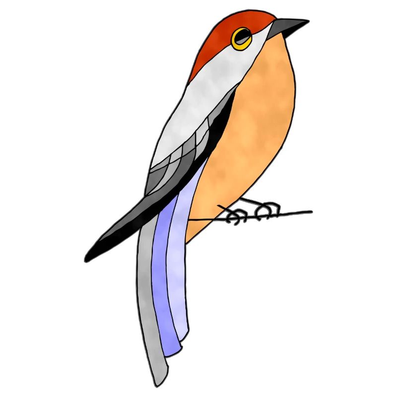 bird
