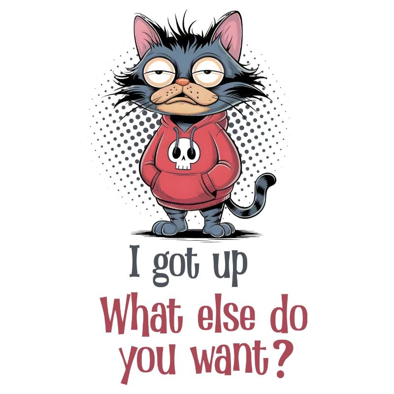 I got up Cat