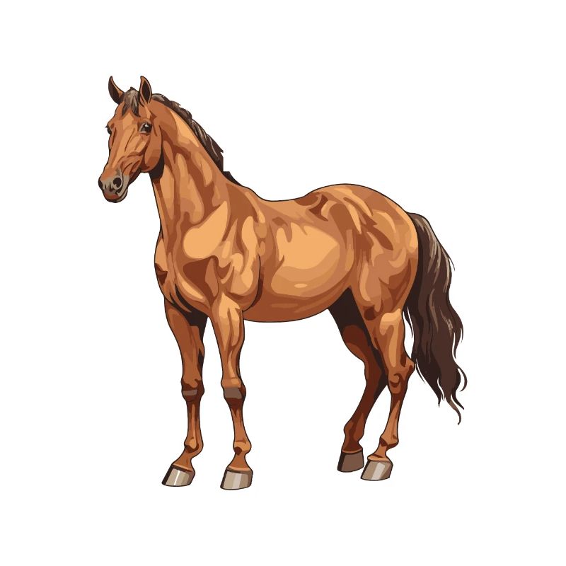Pferd Tier