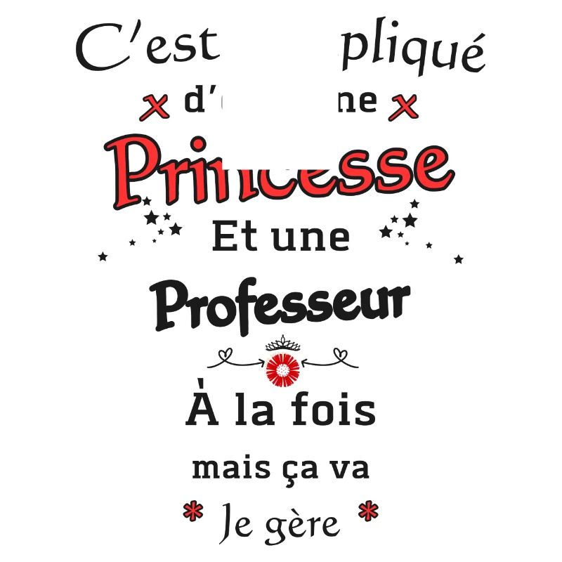 Princesse Professeur